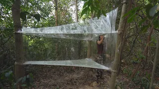 Incredible Bushcraft Tent made from Plastic Wrap! Girl solo bushcraft camping