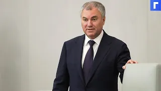 Володин раскритиковал главу Минфина за равнодушие к запросам россиян