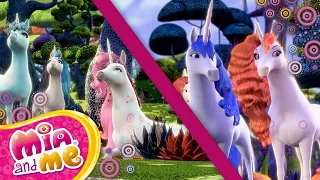 🦄🧚Ritual dos unicórnios 🧚 temporada 1 | Episódio inteiro 5+6 - Mia and me