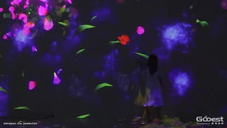 Gooest Produced Interactive Projection Installation -- Flower Sea -- Part 2