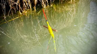 Плотва ломает крючки!!! РЫБАЛКА НА ПОПЛАВОК. Рыбалка на поплавочный удочку весной.