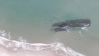 Ship wrecked off Cape Ray is 200 years old, could be put on display: N.L.’s archaeologist