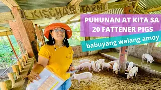 MAGKANO PUHUNAN AT KITA SA PAGAALAGA NG 20 FATTENER PIGS?  | Step by Step Guide | JUNE/JULY 2022