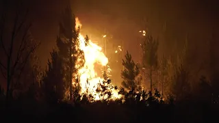 Nearly 2,000 firefighters battle forest fires in central Portugal