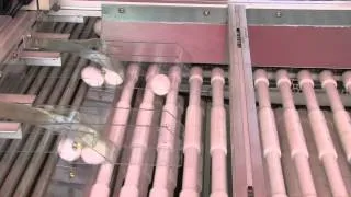 皮蛋凝膠自動化檢測系統