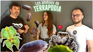 Les (petits) animaux de Terrapodia ! -RDV dans un monde méconnu + TEASER Exposaurus