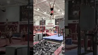 Alabama Gymnastics Camp Highlights!