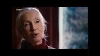 Le long voyage  de Jane Goodall - extraits