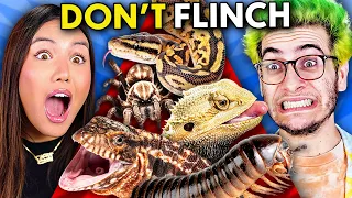 REAL Snakes, Spiders, and Lizards | Try Not To Flinch Challenge