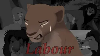 Labour [Lion King AU Crossover] TW! (Read description)