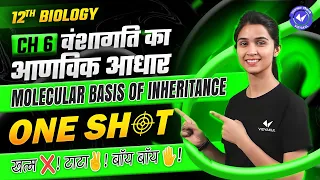 वंशागति का आणविक आधार ONE SHOT | Molecular basis of Inheritance ONE SHOT | Class 12th Biology Ch 6