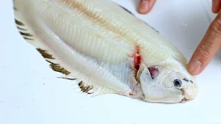 HOW TO PREPARE AND COOK "DOVER SOLE" FISH - CLASSIC FRENCH MEETS JAPANESE - COOKING WITH CHEF DAI