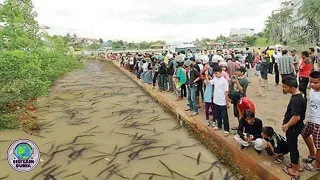 Warga 1 Desa Gempar! Sungai Keramat Tiba² Dipenuhi Ribuan Makhluk Aneh & Misterius! Pertanda Apa Ini