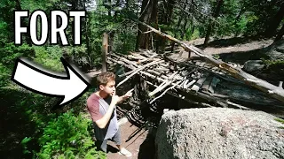 FOREST FORT RETURNS! *nature fort*