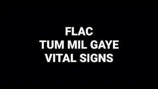 Tum Mil Gaye: Vital Signs: Hq Audio Pakistani 90s Pop Flac Song