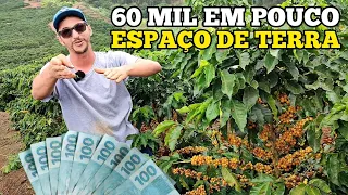 SERA QUE É POSSÍVEL VIVER DA RENDA DE 5 MIL PÉS DE CAFÉ ❓🌱