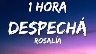 Despechá - Rosalía [1 Hora] (Letra/Lyrics)