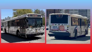 NJ Transit 10 BAYONNE JFK BLVD VIA PAMRAPO AVENUE (NABI 416.15 #6049)