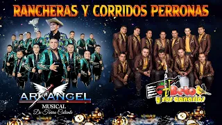 Beto y sus Canarios, Arkangel Musical de Tierra Caliente- Puras Perronas De Tierra Caliente Mix 2023