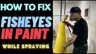 HOW TO FIX FISHEYE PAINT PROBLEM WHILE SPRAYING