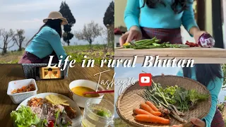 Weekend in my Life | Life in Rural Bhutan | Garden tour | cooking | silent vlog | Bhutanese vlog🇧🇹