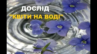 Дослід "Весняні квіти на воді"  / Дослід з водою для дітей "Квіти розпускаються"