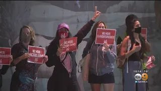 Animal Rights Activists Hold 48-Hour Vigil Outside Vernon Slaughterhouse