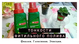 Все о фитильном поливе. Часть 2