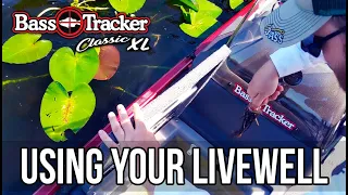 How To Use Your Livewell - Catch And Demo (Bass Tracker Classic XL)