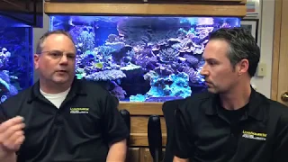 Live Q&A with Kevin Kohen and Eric Radi - LiveAquaria® - November 16, 2017