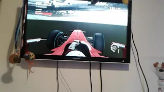 F1 2010 glitch