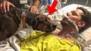 THE MOMENT THIS PETS SAYS GOODBYE TO HIS OWNER IS EMOTIONAL...