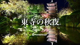 撮影日記／東寺のライトアップ撮影