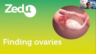 How to: Ovarian Ultrasound + Spectral Doppler - Zedu POCUS Coaching Corner - 28 May 2020