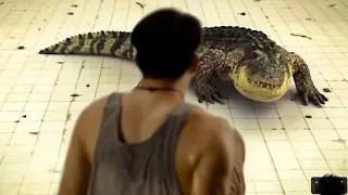 Ele ficou PRESO em uma piscina de 6m com um CROCODILO por 7 dias! - corte dos FILMES