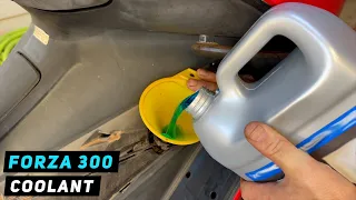 Honda Forza 300 - Coolant Change | Mitch's Scooter Stuff