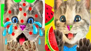 NEW LITTLE KITTEN ADVENTURE AND FRIENDS - CARTOON CAT AND ANIMATED LITTLE KITTEN SHOW