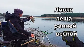 Ловля леща ранней весной.