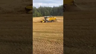 Harvesting oats with Sampo-Rosenlew Comia C4