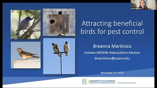 IPM 25th 14. Attracting Beneficial Birds for Pest Control with Breanna Martinico