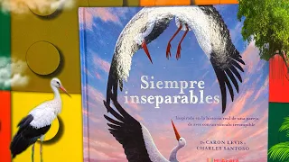 Cuentos infantiles en español; Siempre inseparables libro infantil en español