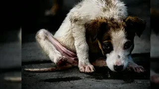 Каждому по факту рядом нужен человек