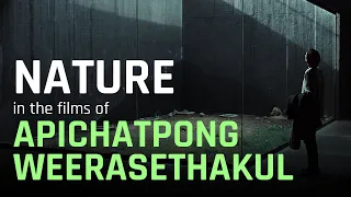 Nature In the Films of Apichatpong Weerasethakul  |  A Video Essay