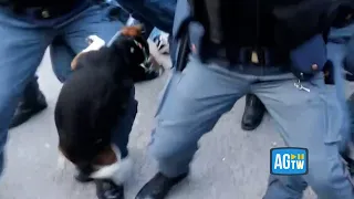 Roma, scontri alla Sapienza: il cagnolino «carica» il poliziotto