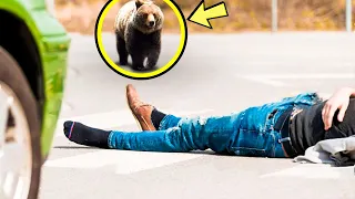 Он попал в аварию и был на грани смерти, но медведь увидел его и сделал неожиданное.
