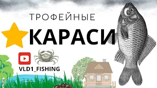 Раздача трофейных карасей рр4