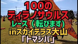 【 ティラノサウルス レース大山・『日本初!!』面白過ぎの為ご視聴注意 Tyrannosaurus racing game何?うまぴょい伝説・傾斜28度70mを転び走る、恐竜ｺｽﾌﾟﾚﾚｰｽ】#97