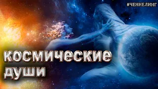 Космические души их особенности и различия. Земные души