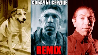 Собачье Сердце. REMIX.