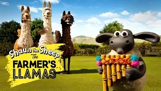 Shaun the Sheep: The Farmer's Llamas | Part 1